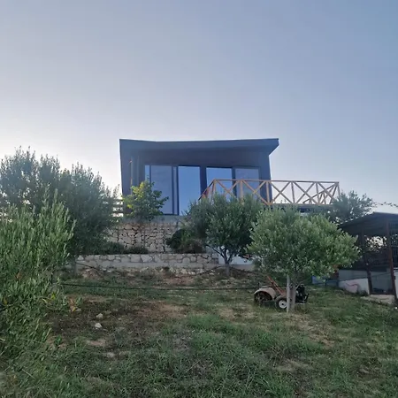 Kepirodonit * Dıraç